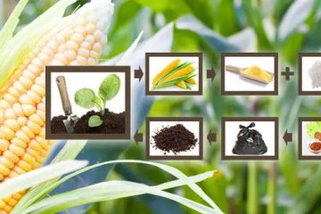 custom packaging boxes