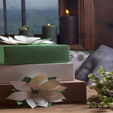 Retail Packaging Box