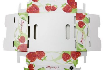 Two-tone luxury premium fruit box packaging | Hug Packaging