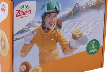 Kiwi Fruit Packaging Boxes | Corrugated Fruit Boxes | Custom Fresh Fruit Packaging | Hug Packaging