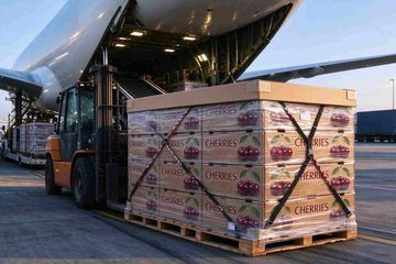 Airport tarmac scene, ground handler pushing air cargo dolly with netted pallet stacked with custom printed premium cherry export cartons, loading fresh cherries onto wide-body cargo airplane for international air shipment